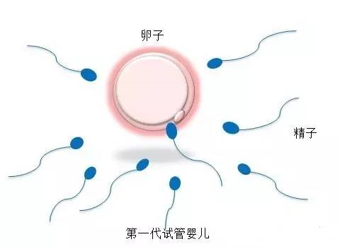 王景华院长